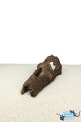 Horse head