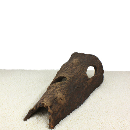 Horse head
