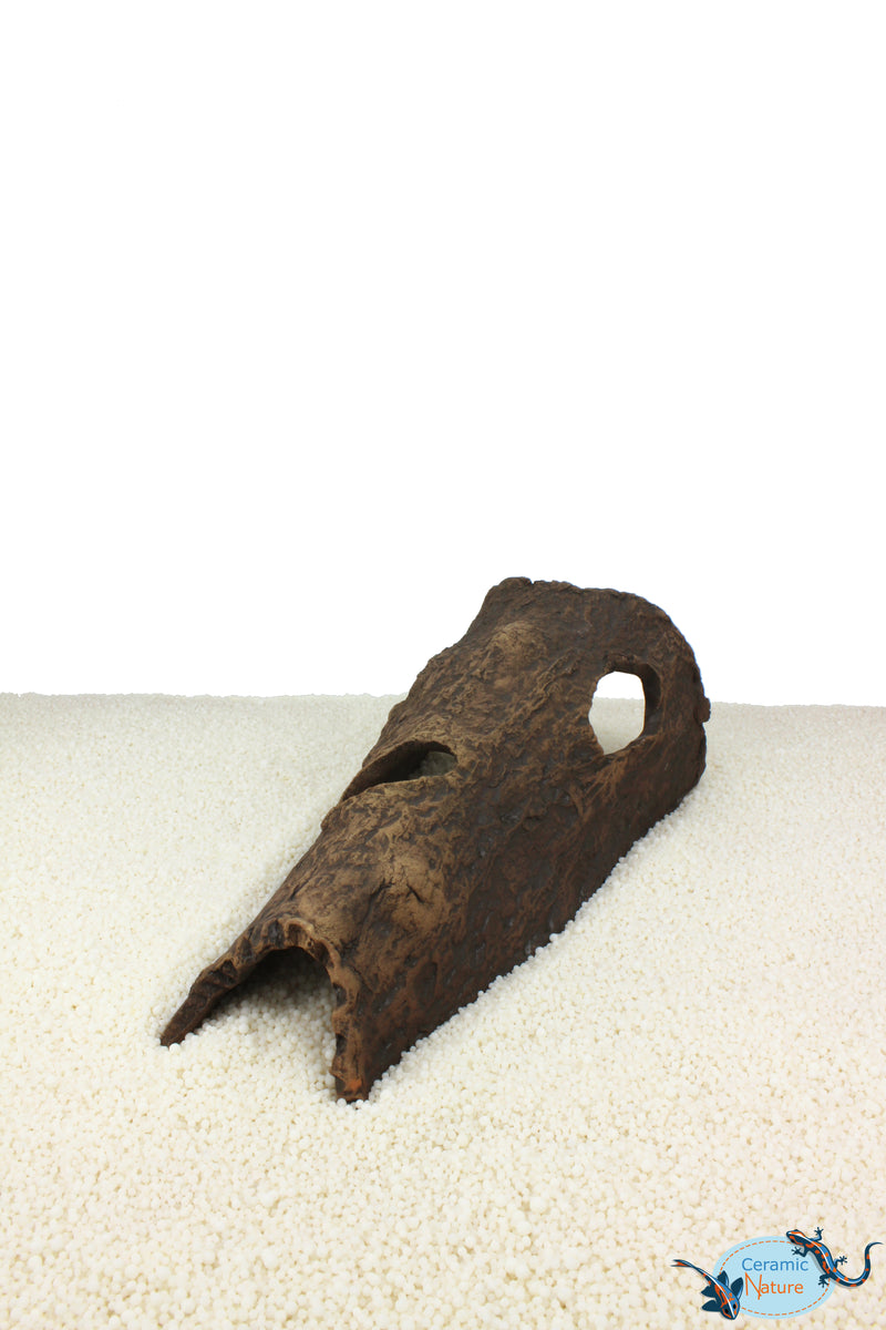 Horse head