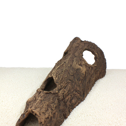 Horse head