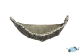 Terrace grey
