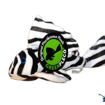 Zebra Harnischwels Plüsch 
