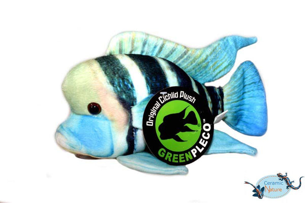 Frontosa cichlid plush