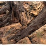Background root