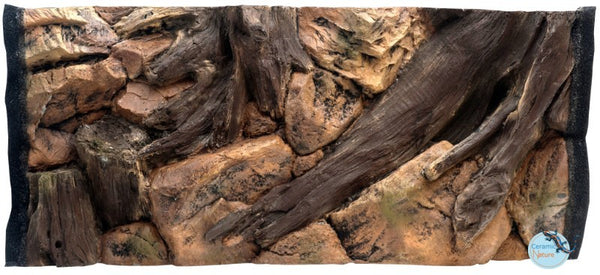 Background root