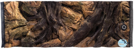 Background root