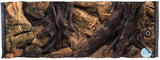 Background root