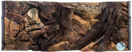 Background root
