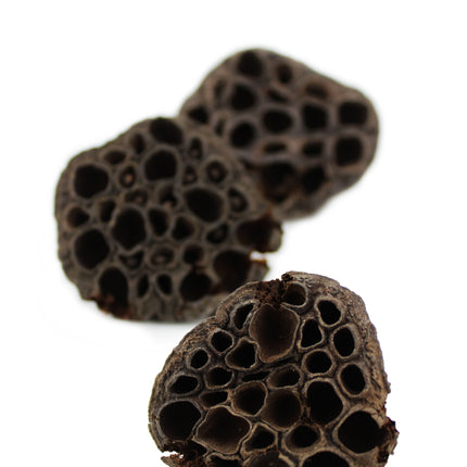 Lotus pods 3x