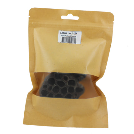 Lotus pods 3x