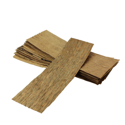 Banana leaves 20x