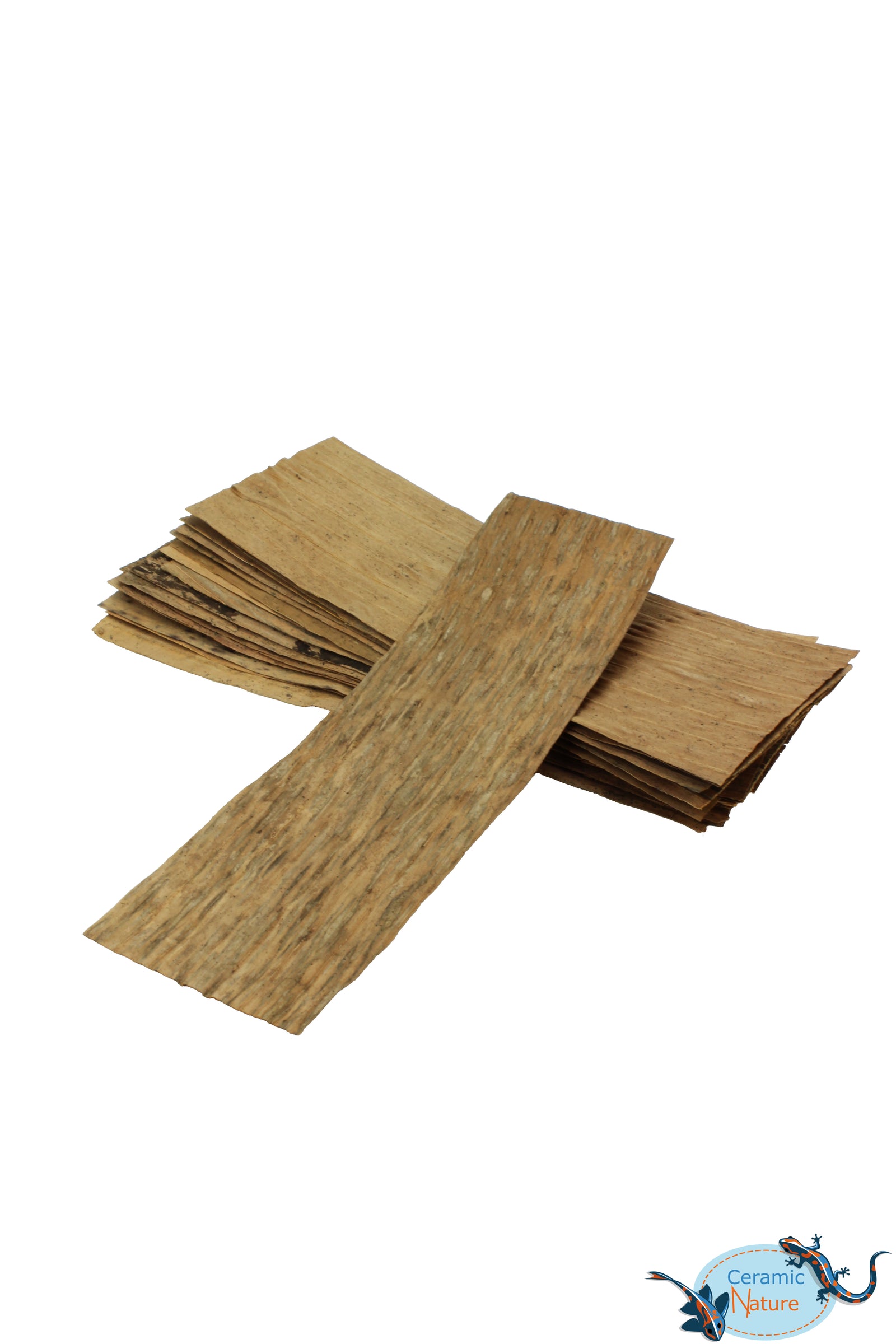 Banana leaves 20x