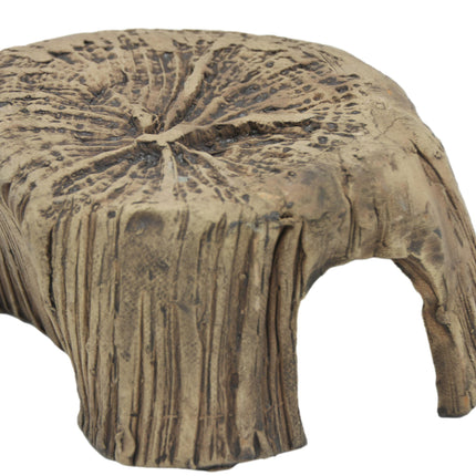 Tree stump S