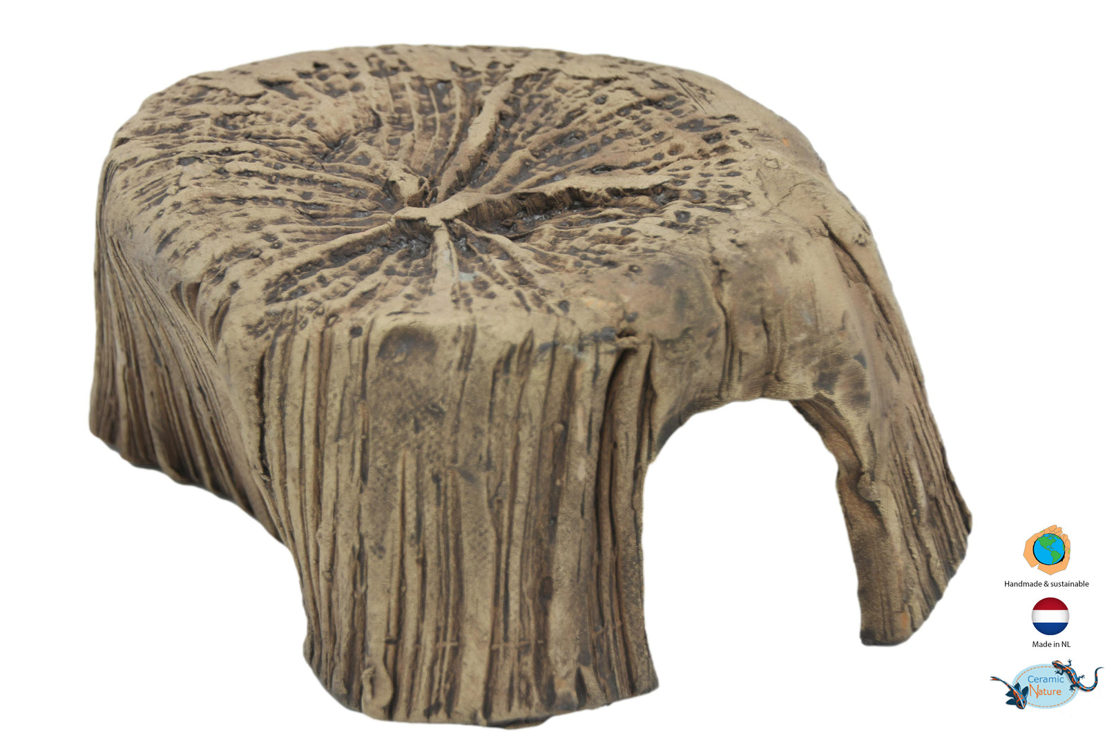Tree stump S