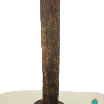 Standing log