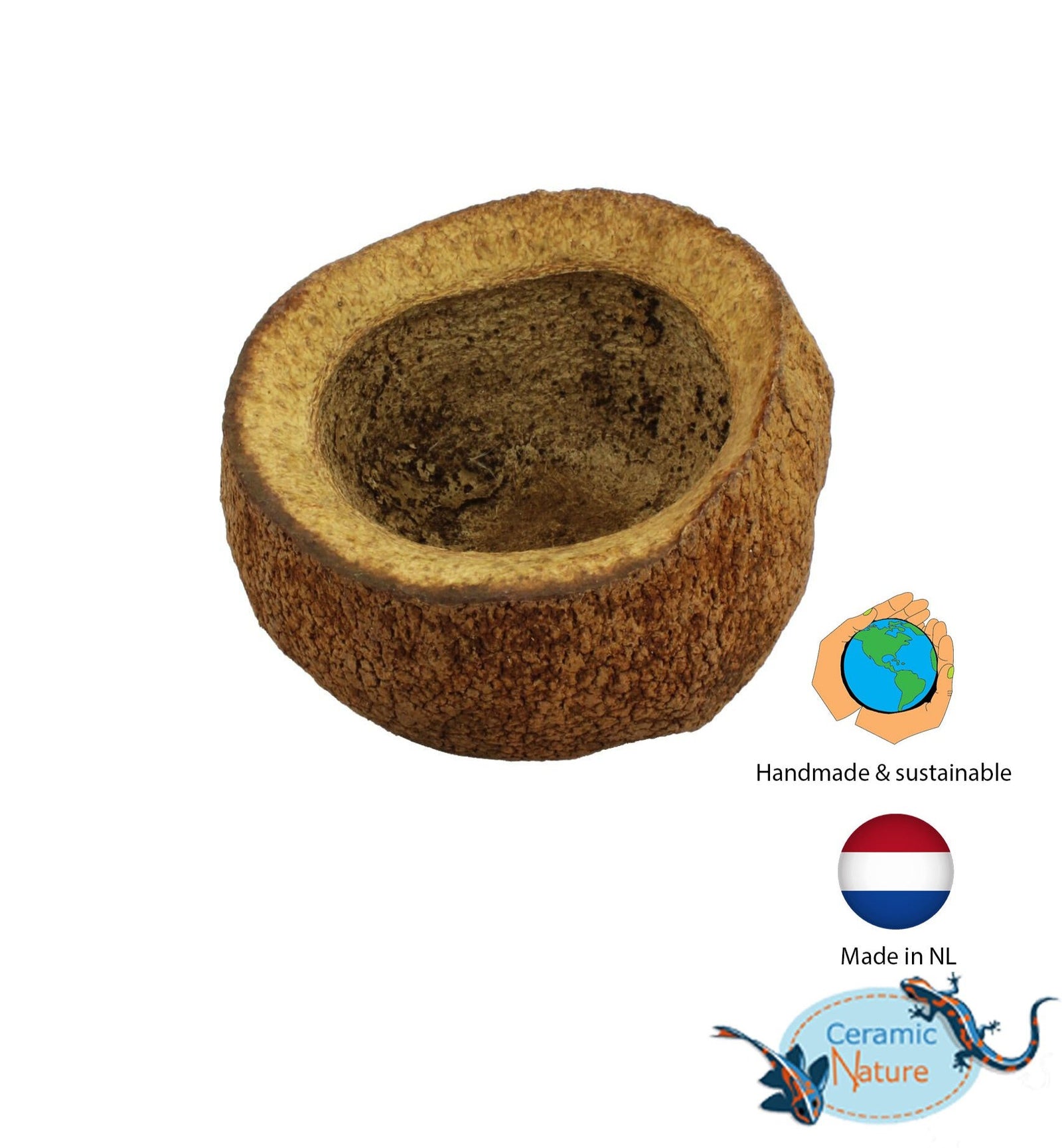 Sapucaia pods XL