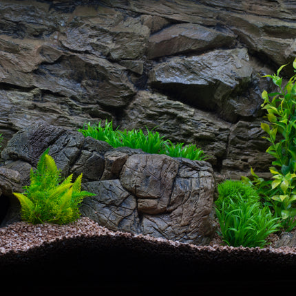 Background rock