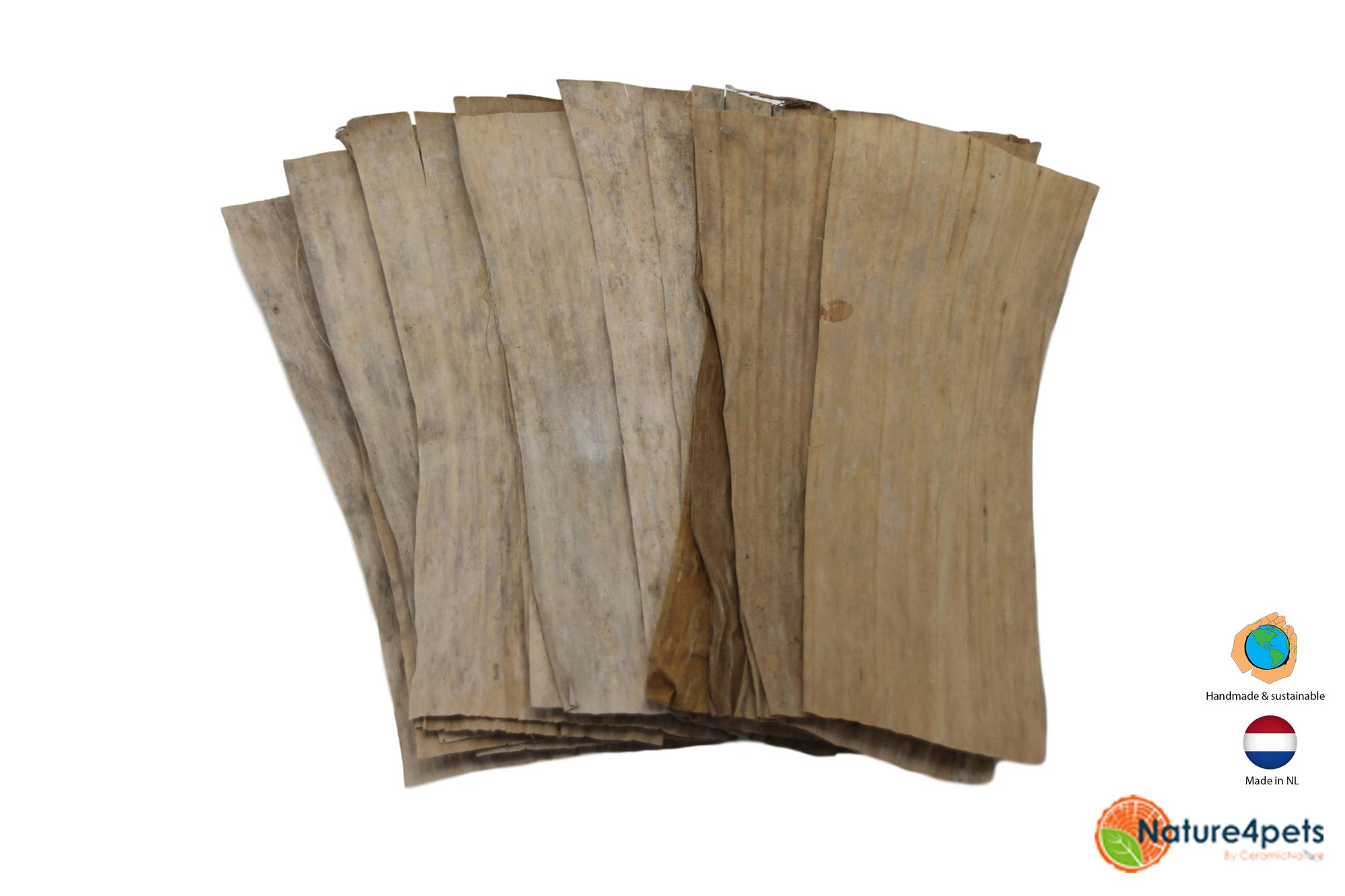 Banana leaves 20x