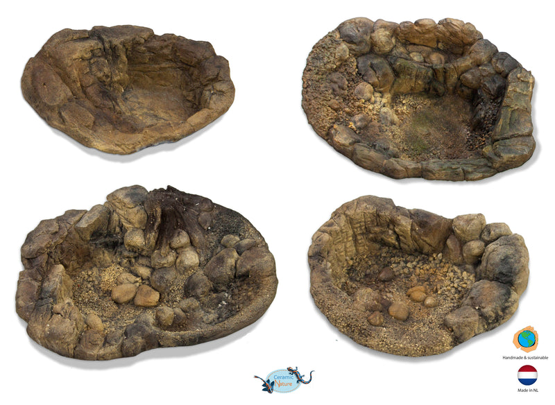 Terrarium basin