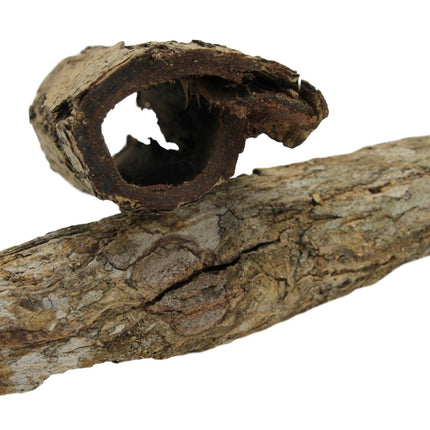 Catappa Bark tubes - 1x