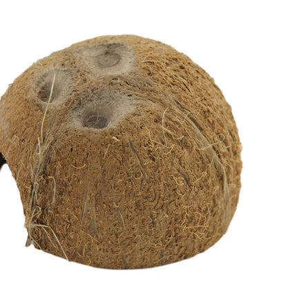 Coconut shelter 1x