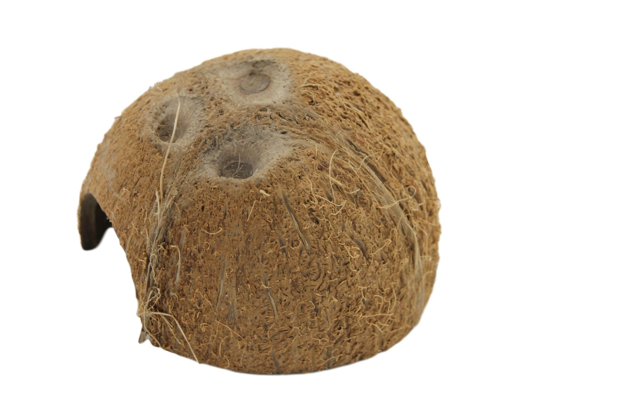 Coconut shelter 1x