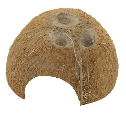 Coconut shelter 1x