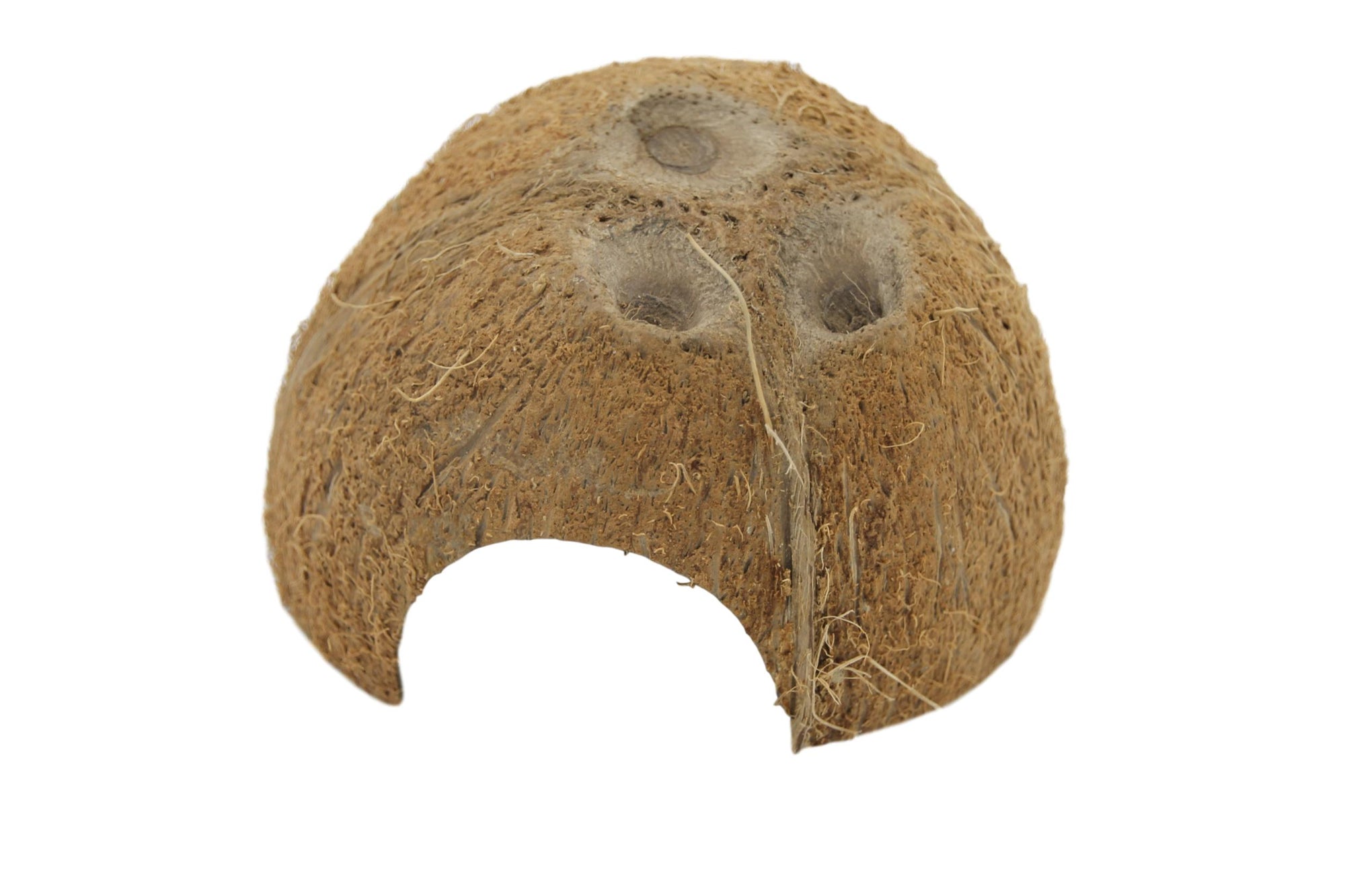 Coconut shelter 1x