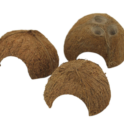 Coconut shelter 1x