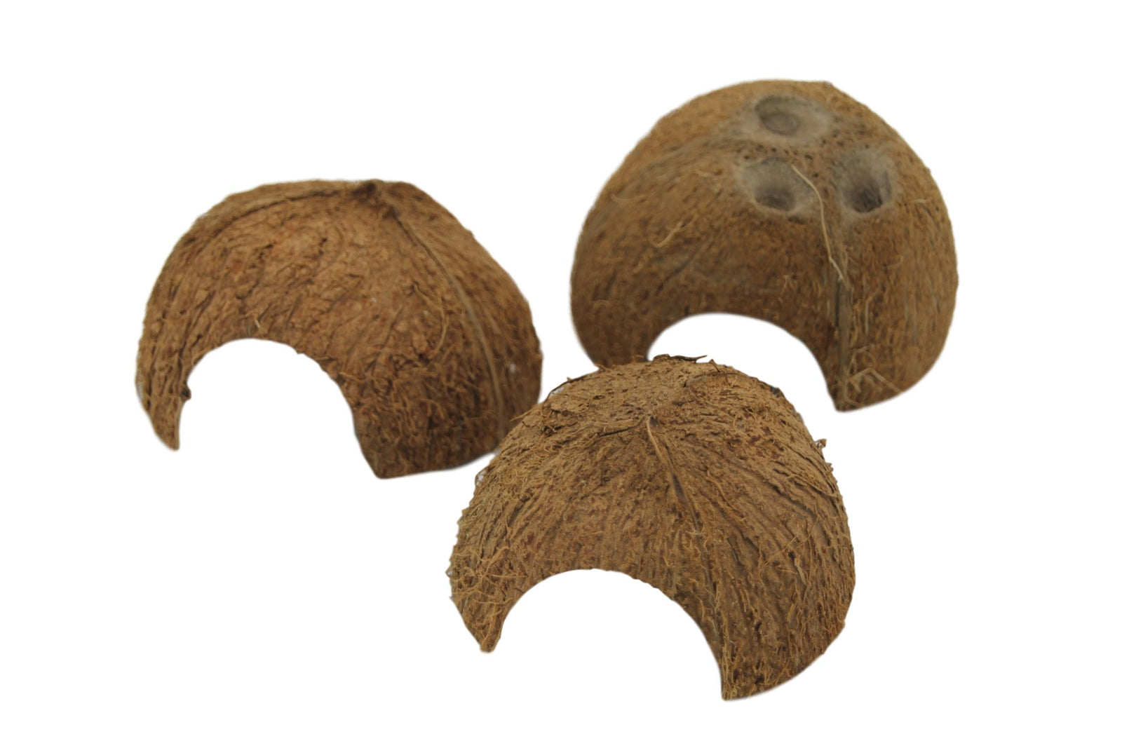 Coconut shelter 1x