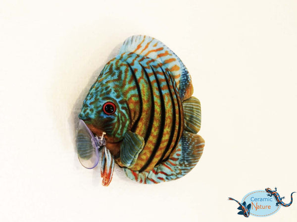 Discus fish plush