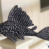 Famous pleco plush