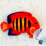 Flame angel plush