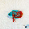 Gourami plush