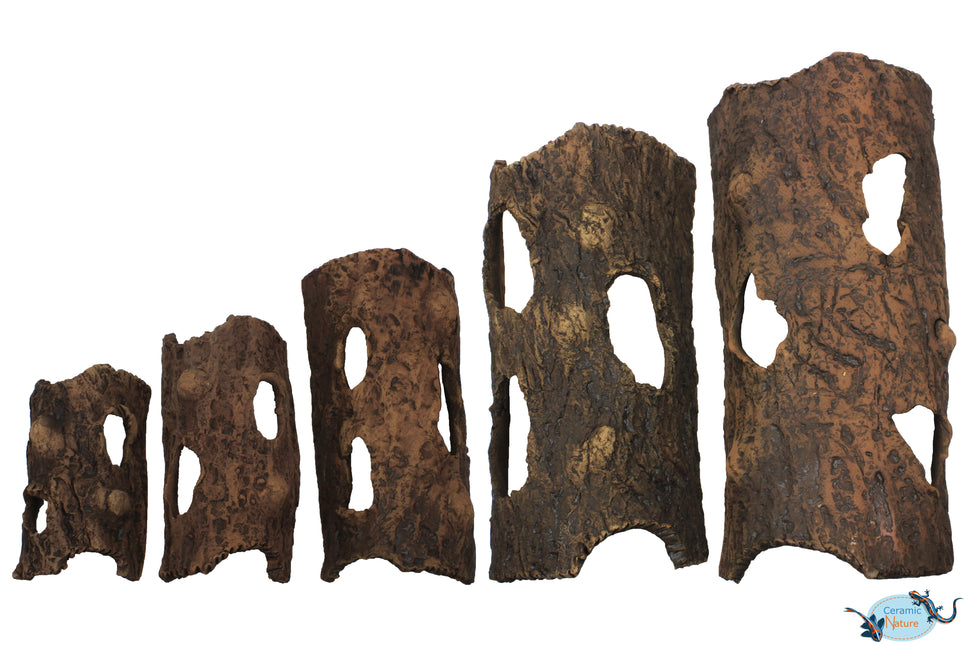 Half-Log