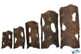 Half-Log