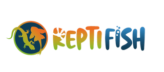 Navigate back to ReptiFish homepage