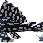 Sapphire pleco plush