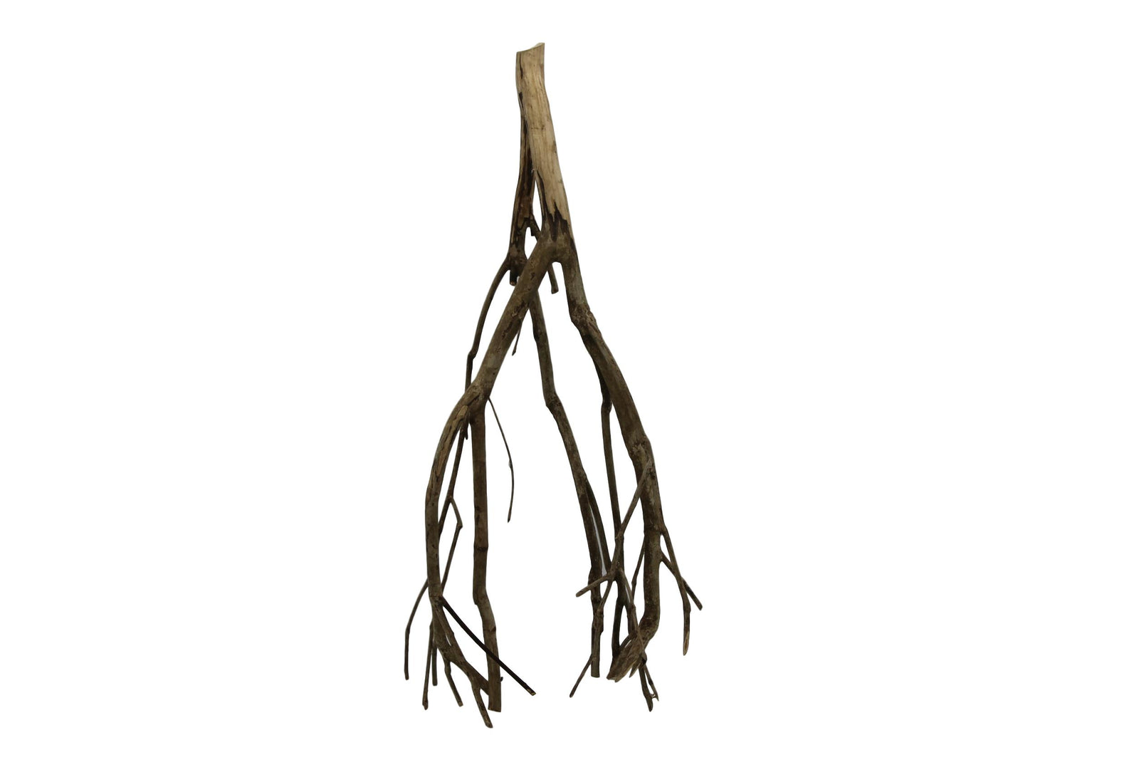 Talawa wood
