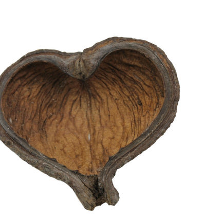 Thelambu pods