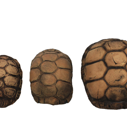 Turtle Cave