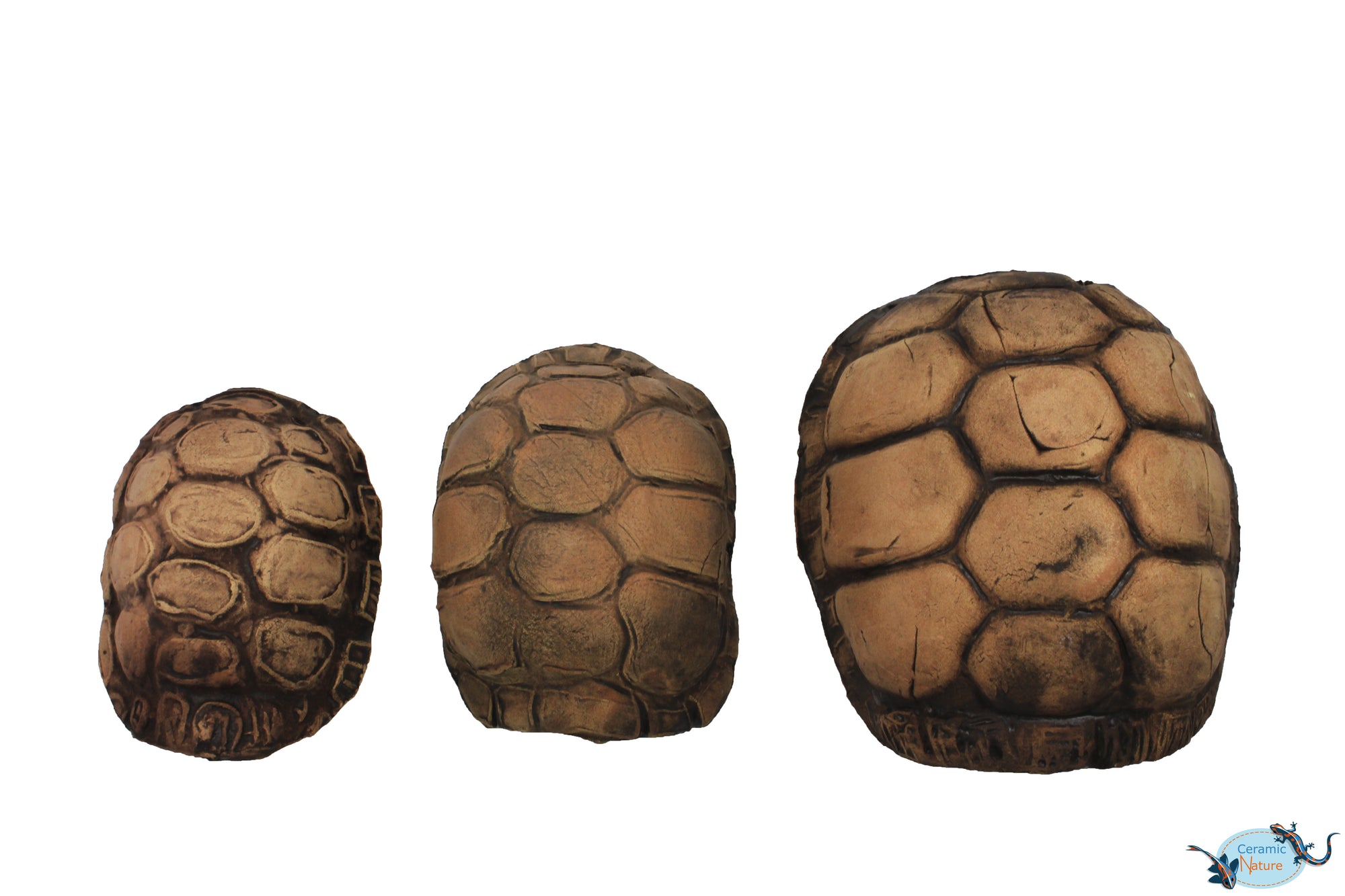 Turtle Cave