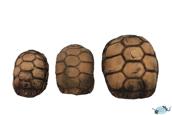 Turtle Cave