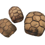 Turtle Cave