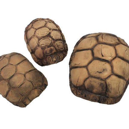 Turtle Cave