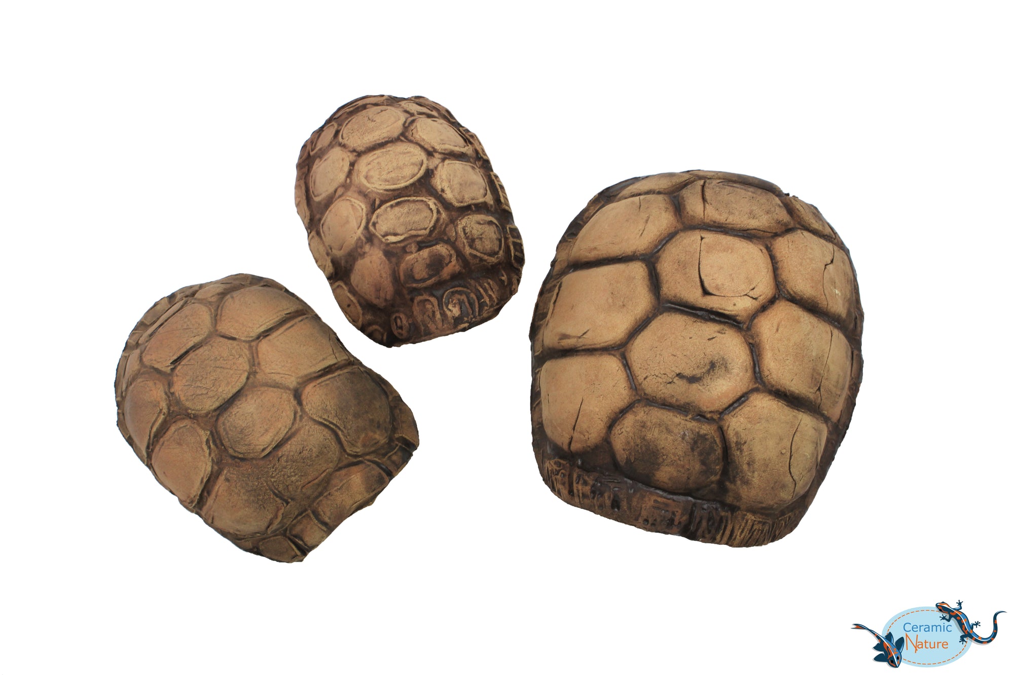Turtle Cave