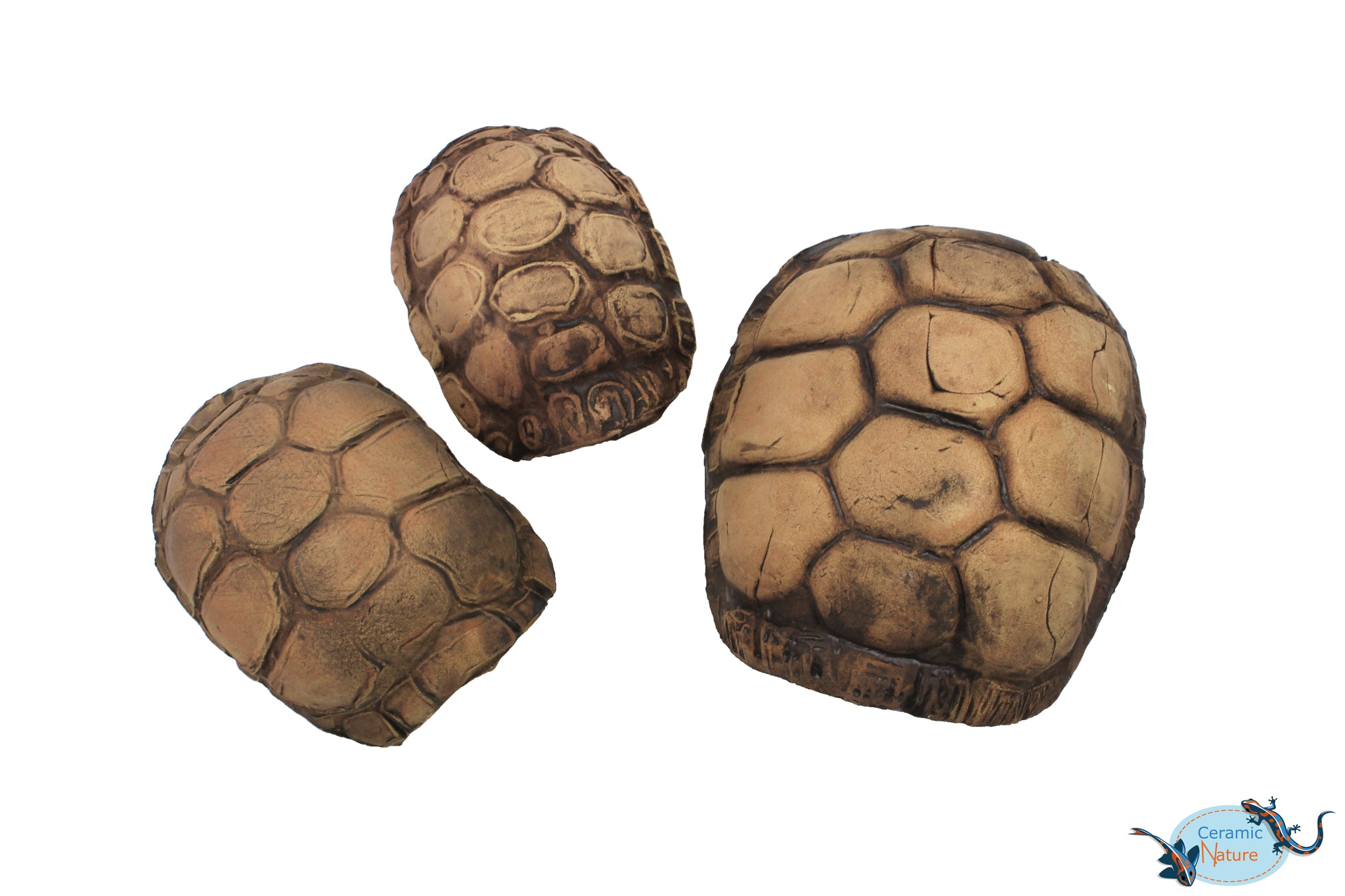 Turtle Cave