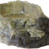 Terrarium bowl XXL