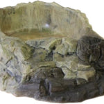 Terrarium bowl XXL