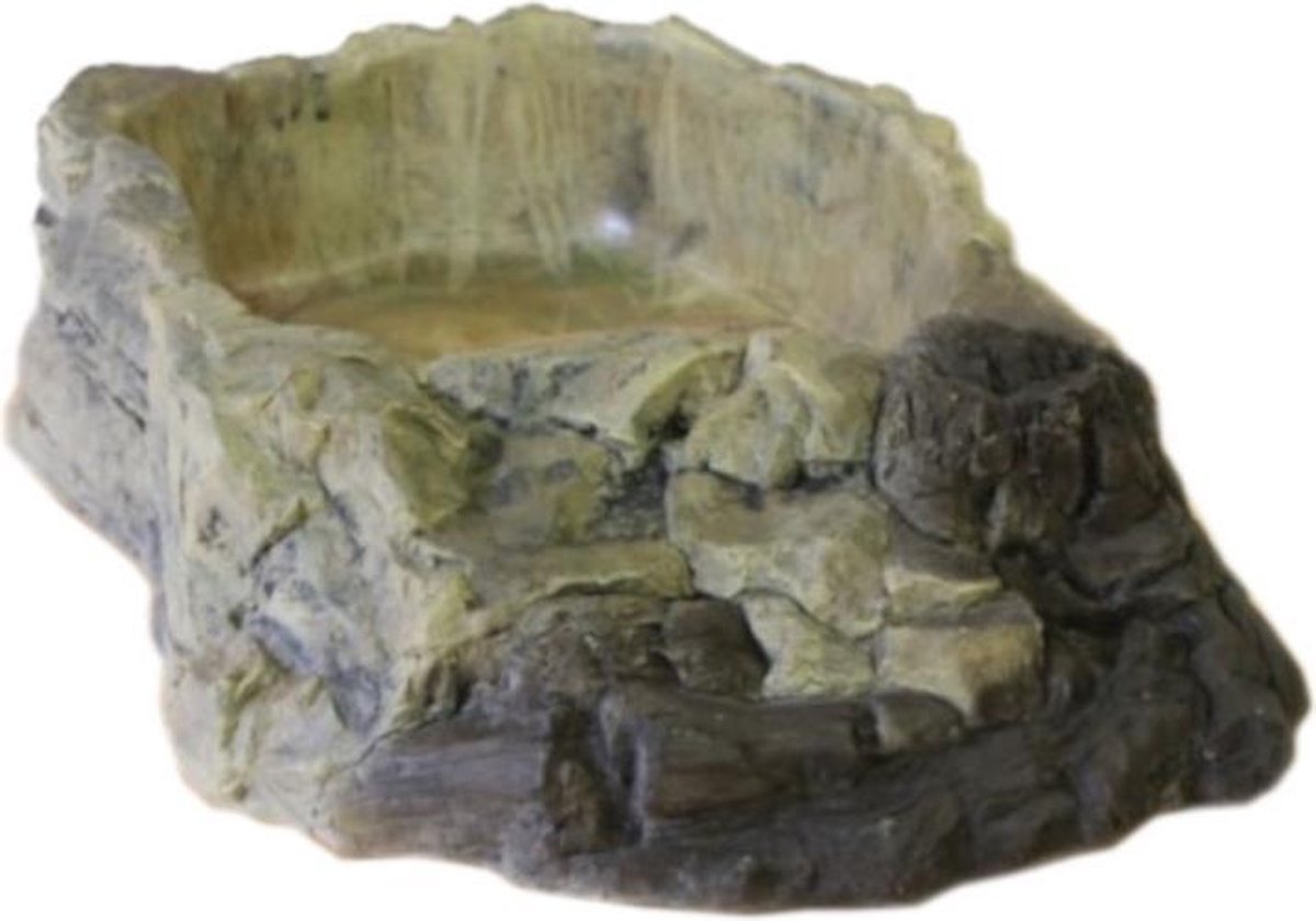 Terrarium bowl XXL